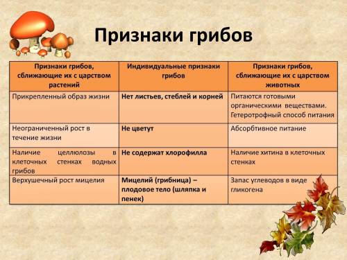Заполните таблицу. сравнительная харрвктеристика грибов. группа грибов. особенности. примеры значени