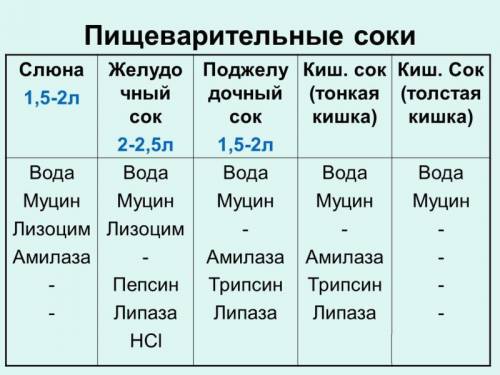 25 ! ! • сколько есть пищеварительных соков например слюна, желудочный сок и т.п.