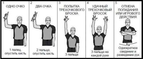 Поискать не могу, аудиокника собъётся. кароче нужно длины и названия линий на баскетбольной площадке