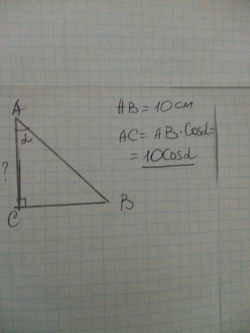 В прямоугольном треугольнике Вас , угол С =90°, АВ=10 см, <А = альфа, найти АС