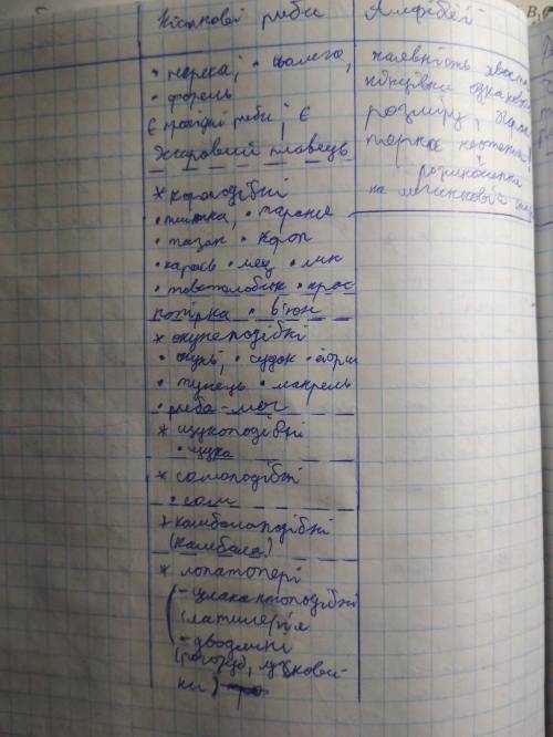 Заполните таблицуОсетрообразныеУгреобразныеСельдеобразыеКарпообразныеСомообразныеЛососеобразныеЩукоо