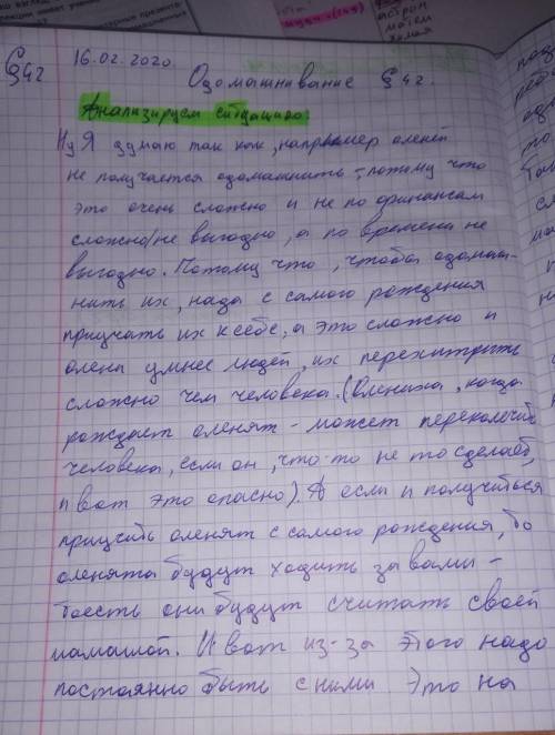 Молоко лося используется в лечебном питании, его мясо вкуснее, чем мясо многих оленей. В России и Ск