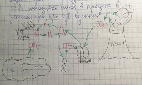 Биология. Составить химические схемы круговорота веществ (свои): С, Р, N, О, S, Н2О В виде генетичес