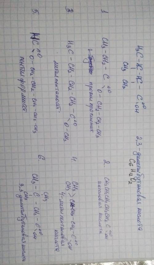 6 изомеров для 2.3 диметил бутоновая кислота