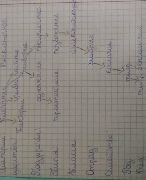 Составьте классификации раздела беологию которую Укажите название раздела объект и методы изучения​1