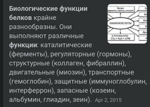 5. Отметь знаком + пункты а), b), с), d) относящиеся к свойствам и биологическим функциям белков пре