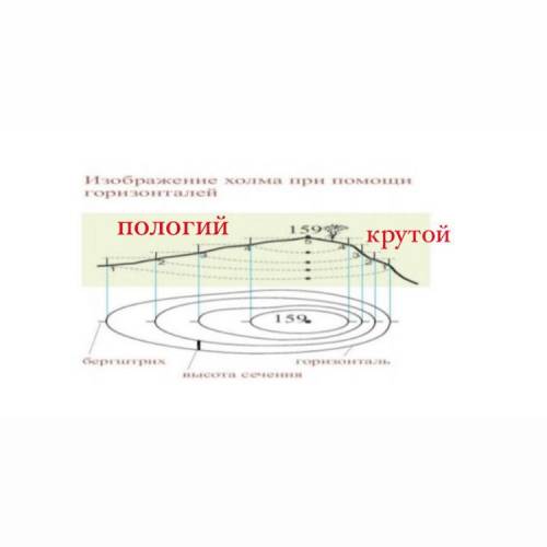 Абсолютная высота - ?Какой холм крутой/пологий - ?Высота от подножья до вершины - ?​