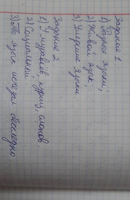 Соч по русскому языку . 5 класс Казахстан