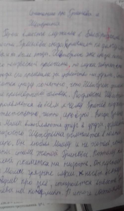 Выскажите свое отношение к Петру гриневу​
