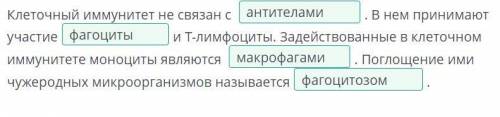 Вставь в текст пропущенные слова, выбрав их из выпадающего списка. Клеточный иммунитет не связан с