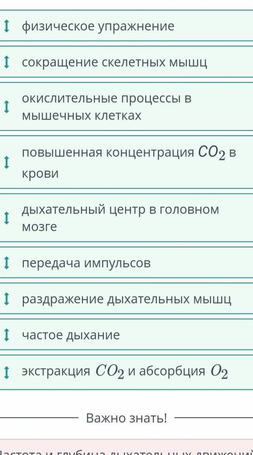 установи последовательность физиологических процессов и дыхательных движений во время тренировки.​