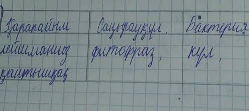 Бул жалгасы комек берындерш​