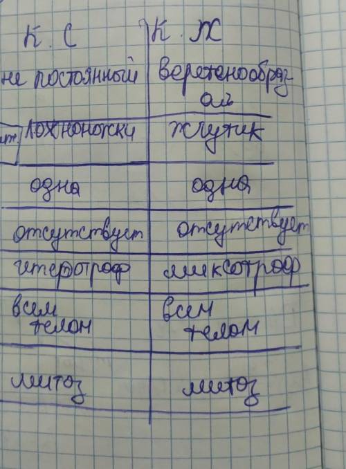 Признак сравнения, тип Саркожгутиковые (Саркодовые, жгутиковые), тип инфузории ​
