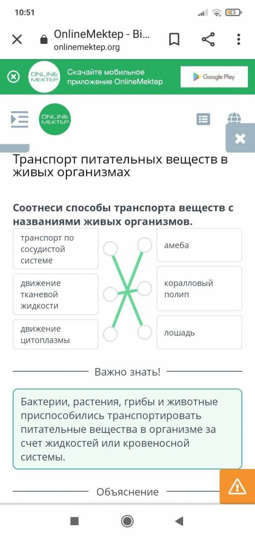 Соотнеси транспорта веществ с названиями живых организмов. транспорт по сосудистой системеамебадвиже