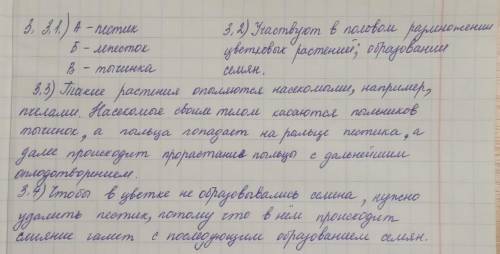 ответить на вопросы!(см.картинку)​