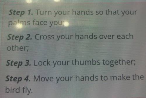 My music. Lesson 3 Listen to the audio and put the sentences in the correct order. 61 Move your hand
