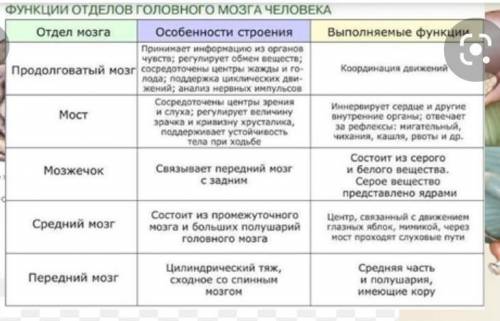 позяза:) и ещё в конце строчки(первой)написано головного​
