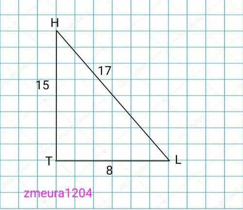 1. Знайдіть sinН, cosН, tgН, ctgН. sinL, cosL, tgL, ctgL sinT, cosT, tgT, ctgT.