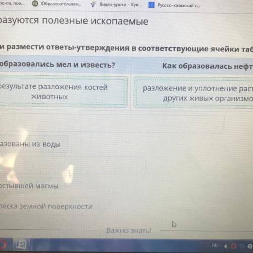 Как образовались мел и известь билим Ленд​