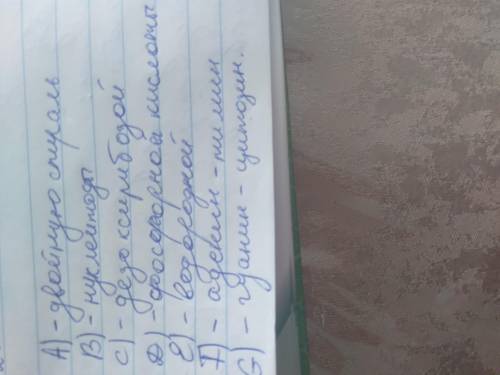 Расставьте в тексте факты о строении молекулы ДНК: Молекула ДНК по своей структуре представляет А) н