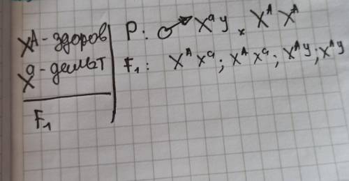 решить задачу. развернуто.​