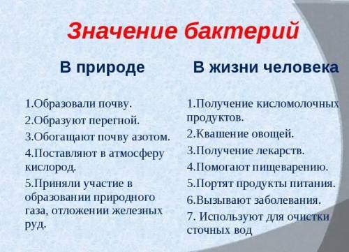 Какое строение имеют бактерии? Чем питаются бактерии? Какое значение имеют бактерии в природе и жизн