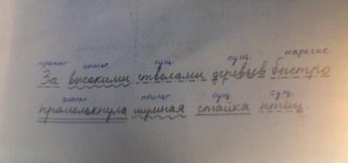 Запиши предложение. Укажи части речи над каждым словом. Подчеркни главные и второстепенные члены пре