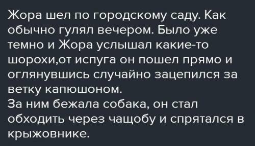 Составьте связанный текст со словами шофер,жора,тбжорп,шок,шов,шорты,шококлад,шоу,шорох,шоры,шомпол,