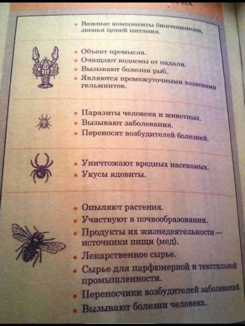 Яку роль грае мир в житти людей?. !
