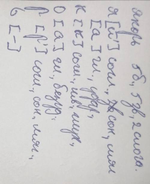 Сделайте Фонетический разбор из словЯкорь, Юрта, Портрет.
