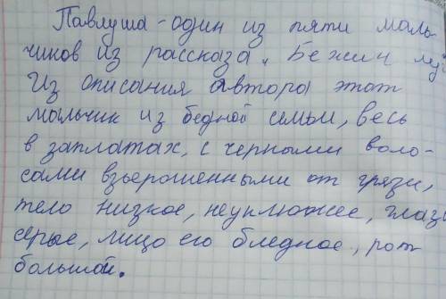 Напишите про описание Павлуши из рассказа Бежин луг