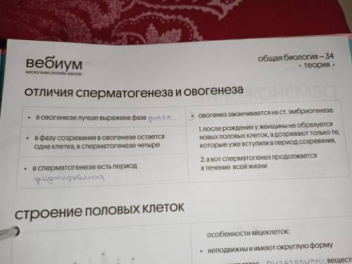 Чим пояснюється різниця в будові гамет. Відповідь обґрунтуйте