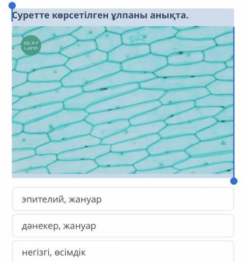Жане жабын осымдык симай калды отиниш комек керек