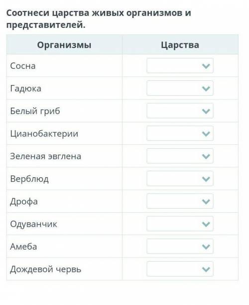 Соотнеси царства живых организмов и представителей.​
