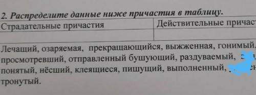 я просто хз как это делать​