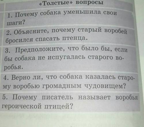 Текст «Найдёныш» 2толстых вопроса СОР​