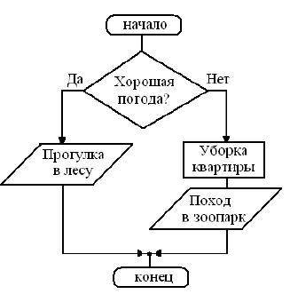 Перед выходным днём папа сказал своему сыну: «Давай спланируем свой завтрашний день. Если будет хоро