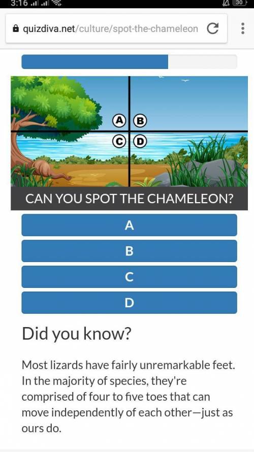 CAN YOU SPOT THE CHAMELEON​