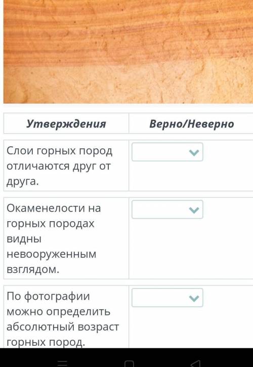 Предположи по фотографии относительный возраст слоев горных пород данной местности. Определи, верным