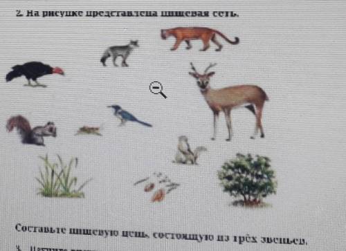 На ресунке придставте пищивую цепь​