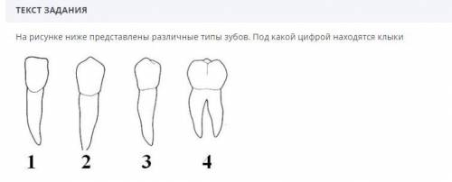 В ФОТОВ ФОТОВ ФОТОВ ФОТОВ ФОТОВ ФОТОВ ФОТО