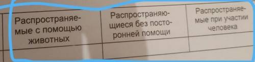 Распространеняются с животных нужно сейчас​