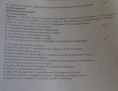 это нужно было сделать вчера
