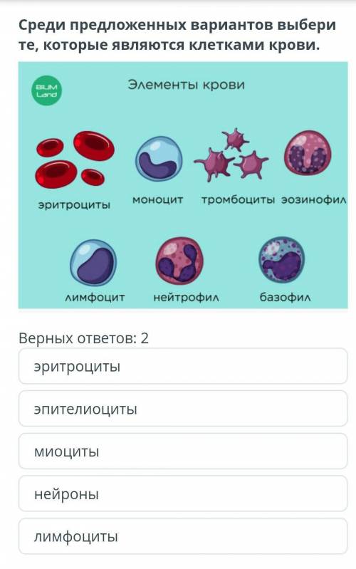 Среди предложенных вариантов выбери те, которые являются клетками крови.​