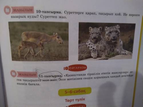 Мынау қалай рж көмек керек