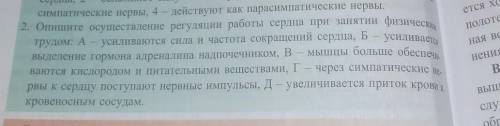Опишите осуществление регуляции работы сердца при занятии физическим трудом​