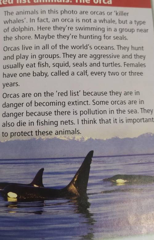 1 Which paragraph describes the life and habitat of the orca? Which describes aproblem?2 Do orcas li
