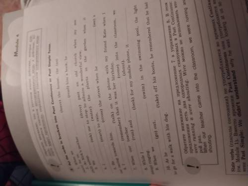 Put the verbs in brackets into Past Continuous or Past Simple Tense В новом Граматическом Тренажёрны