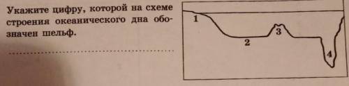 Укажите цифру, который на схеме строения океанического дна обозначен шельф ?.​
