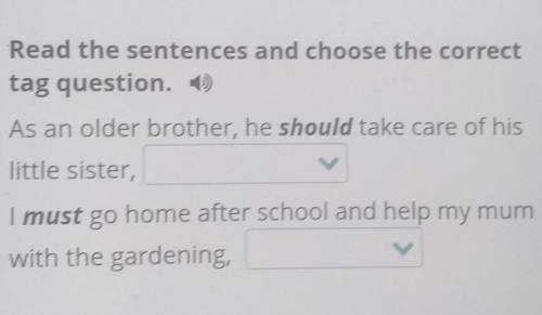 Read the sentences and choose the correct tag question. )As an older brother, he should take care of